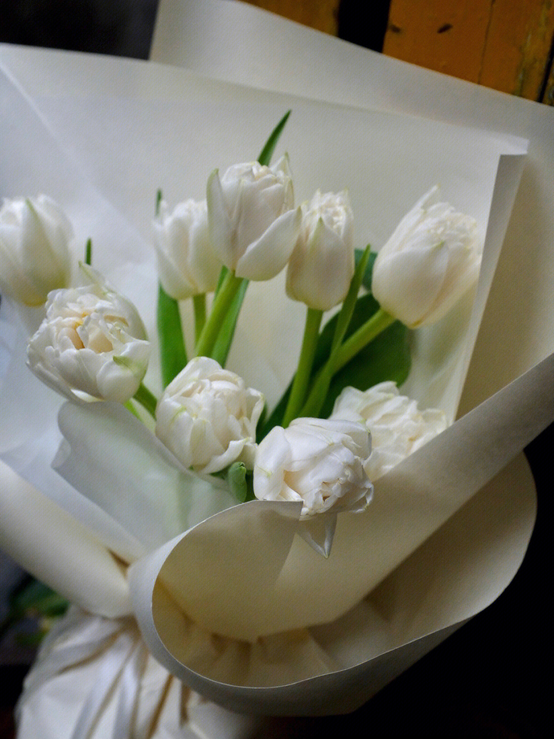白色重瓣郁金香花语图片