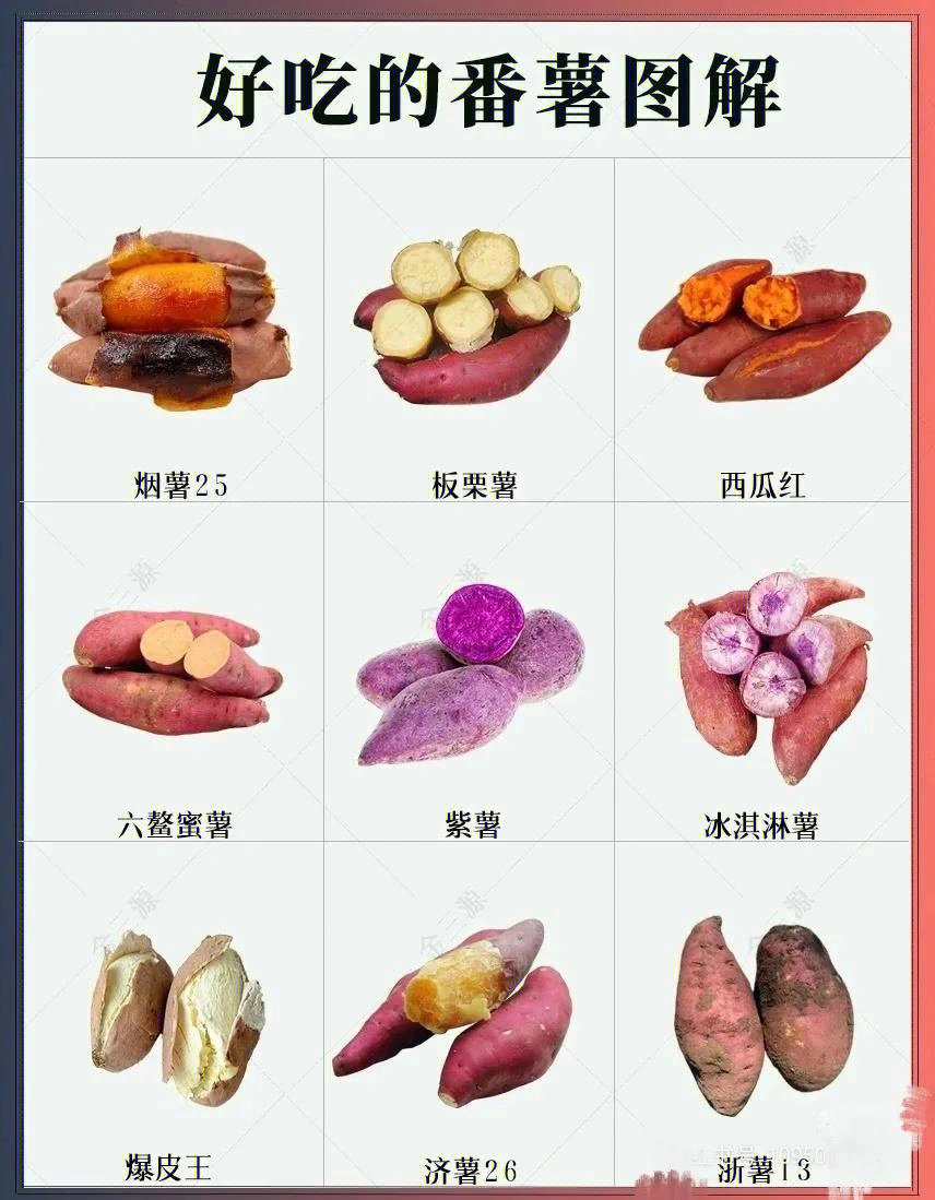 红薯紫薯白薯营养价值各有千秋