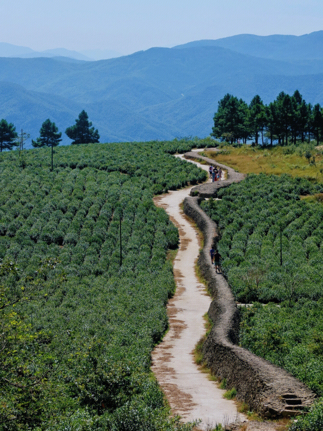 莫干山彩虹路图片