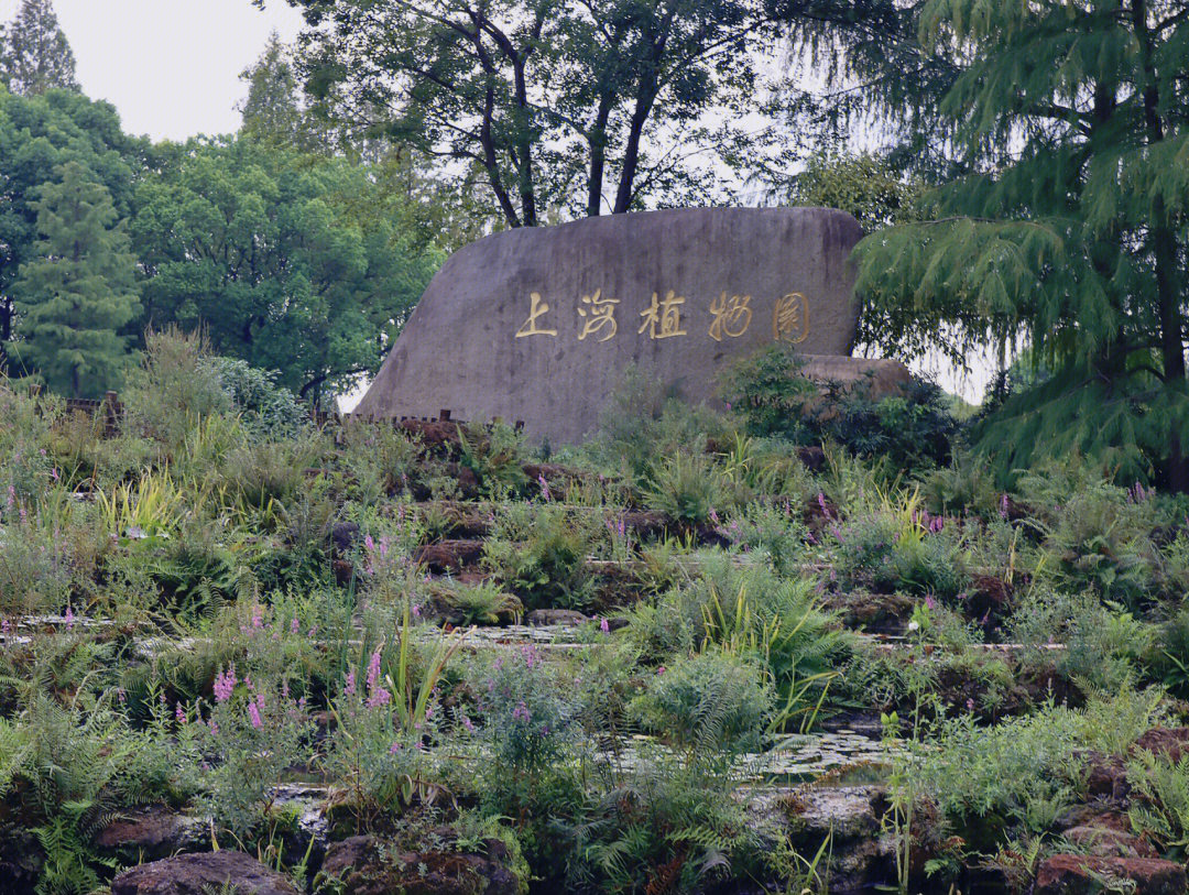 上海植物园正门图片图片