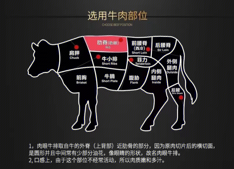 安格斯牛肉分割图图片