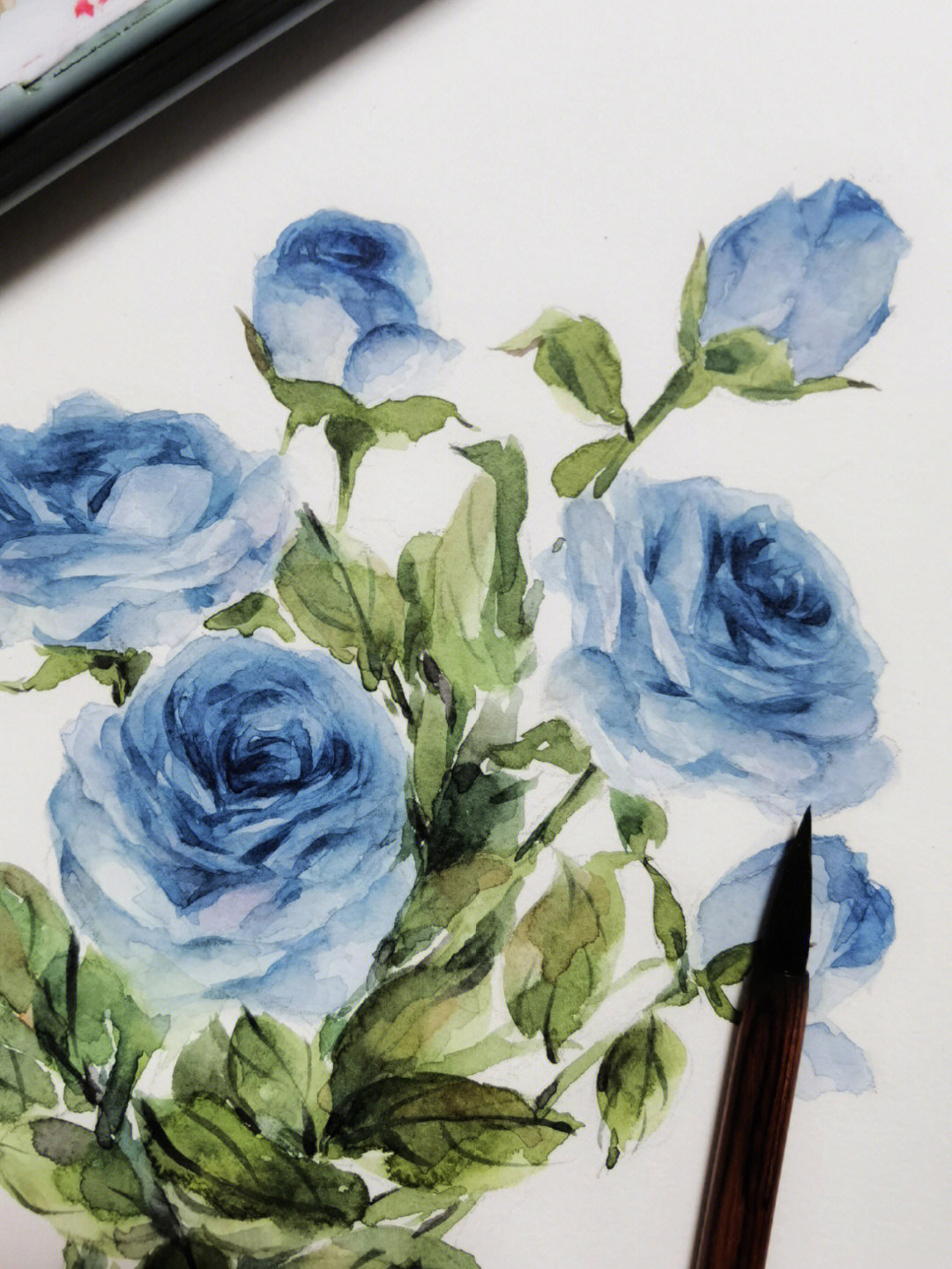 水彩蓝玫瑰附线稿和过程图