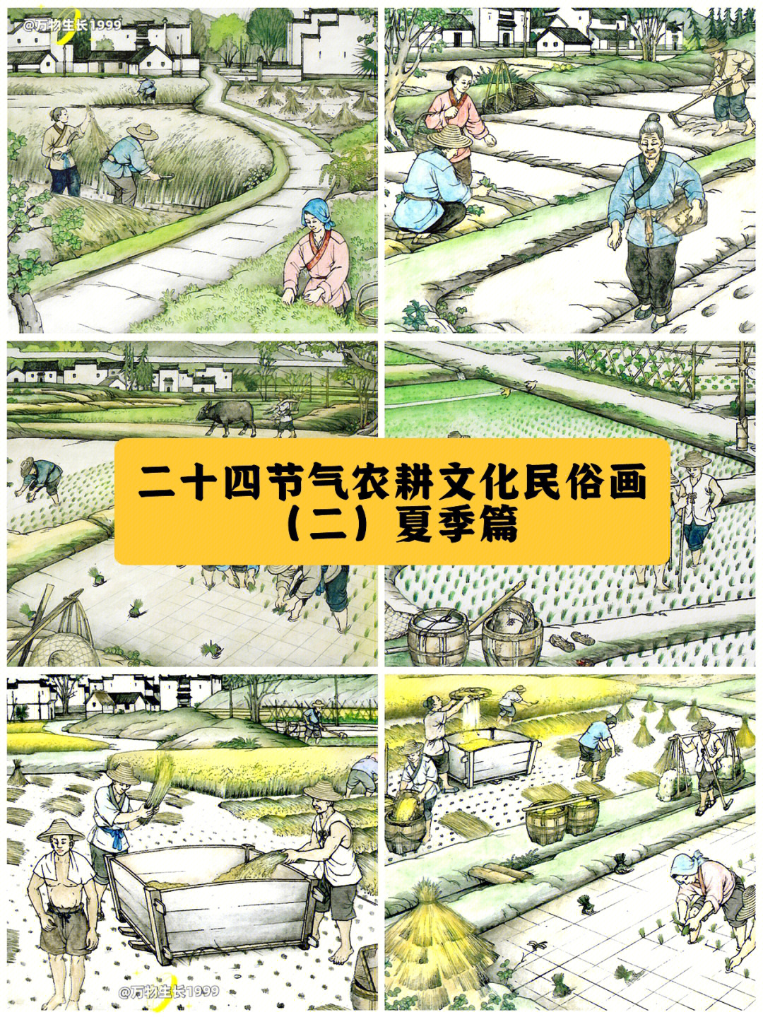 二十四节气农耕民俗连环画二夏季篇