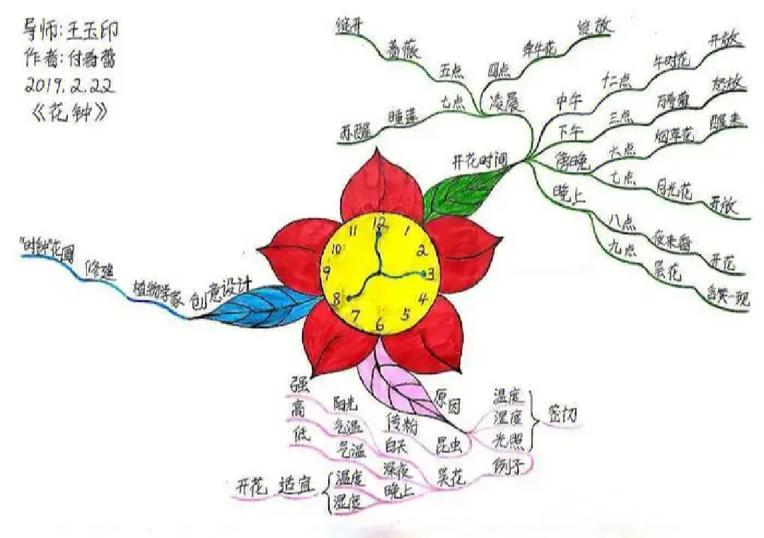 花钟怎么画板书图片