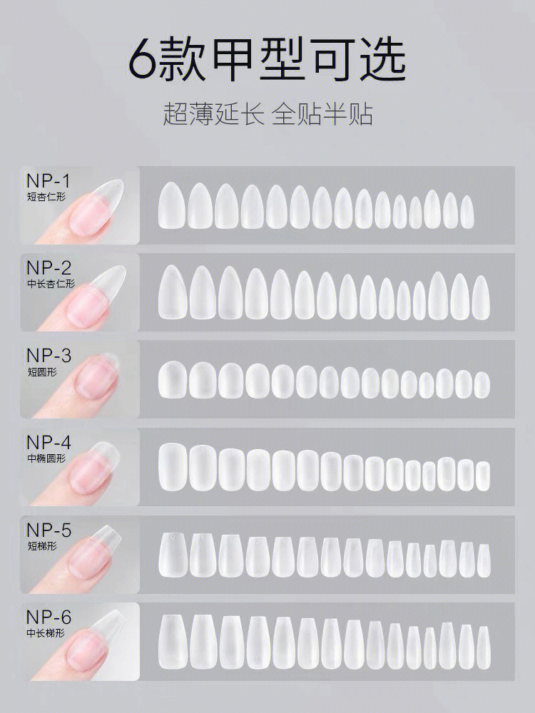 甲片大小对照图图片