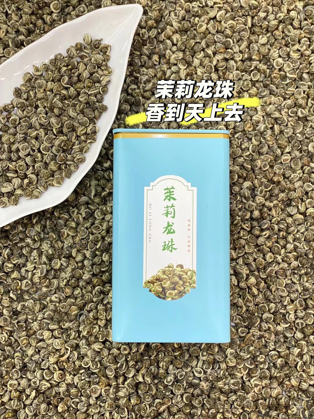 难忘茉莉花正谱图片