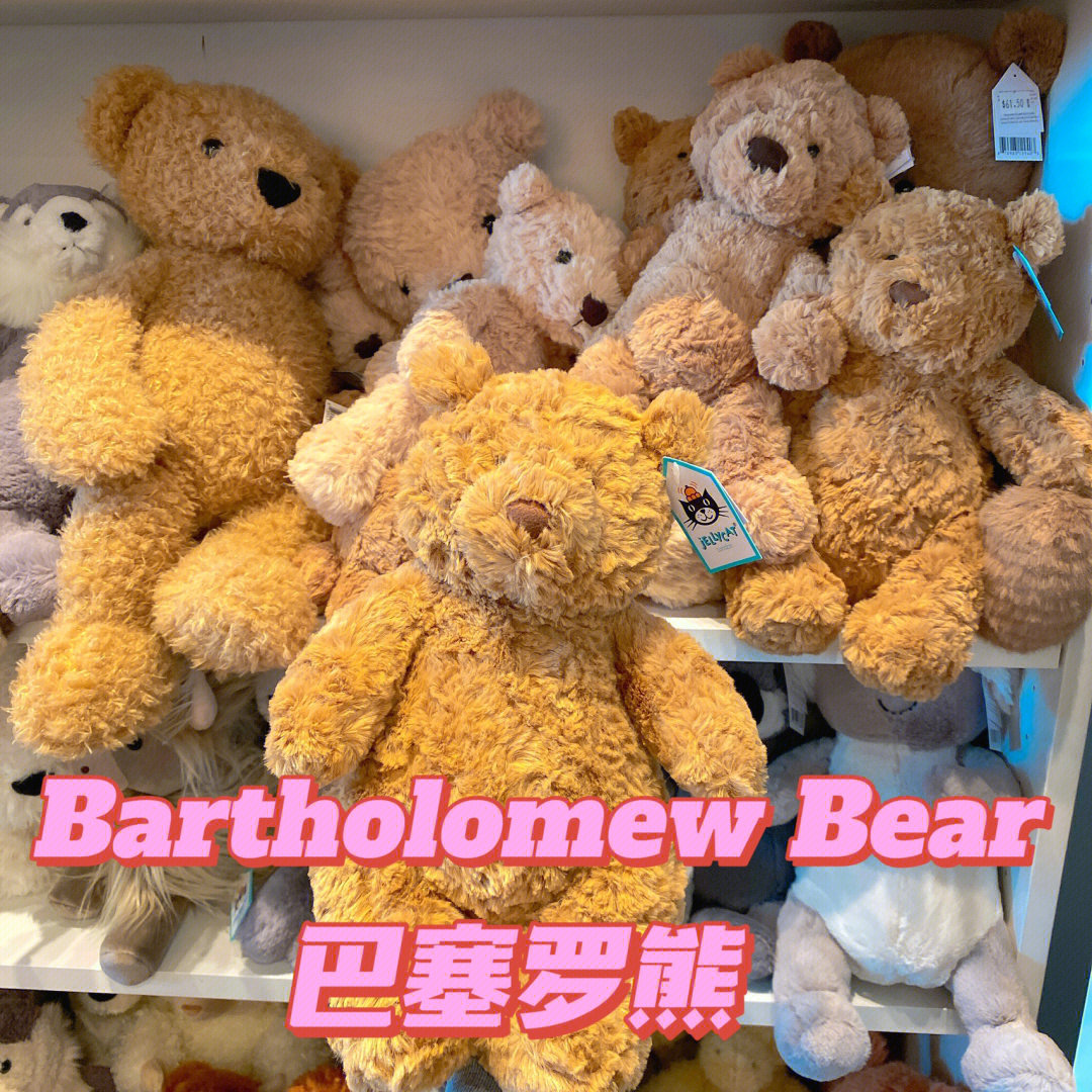 网红bartholomewbear巴塞罗熊