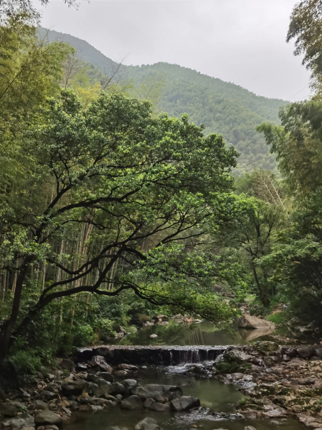 浙东小九寨烧烤图片