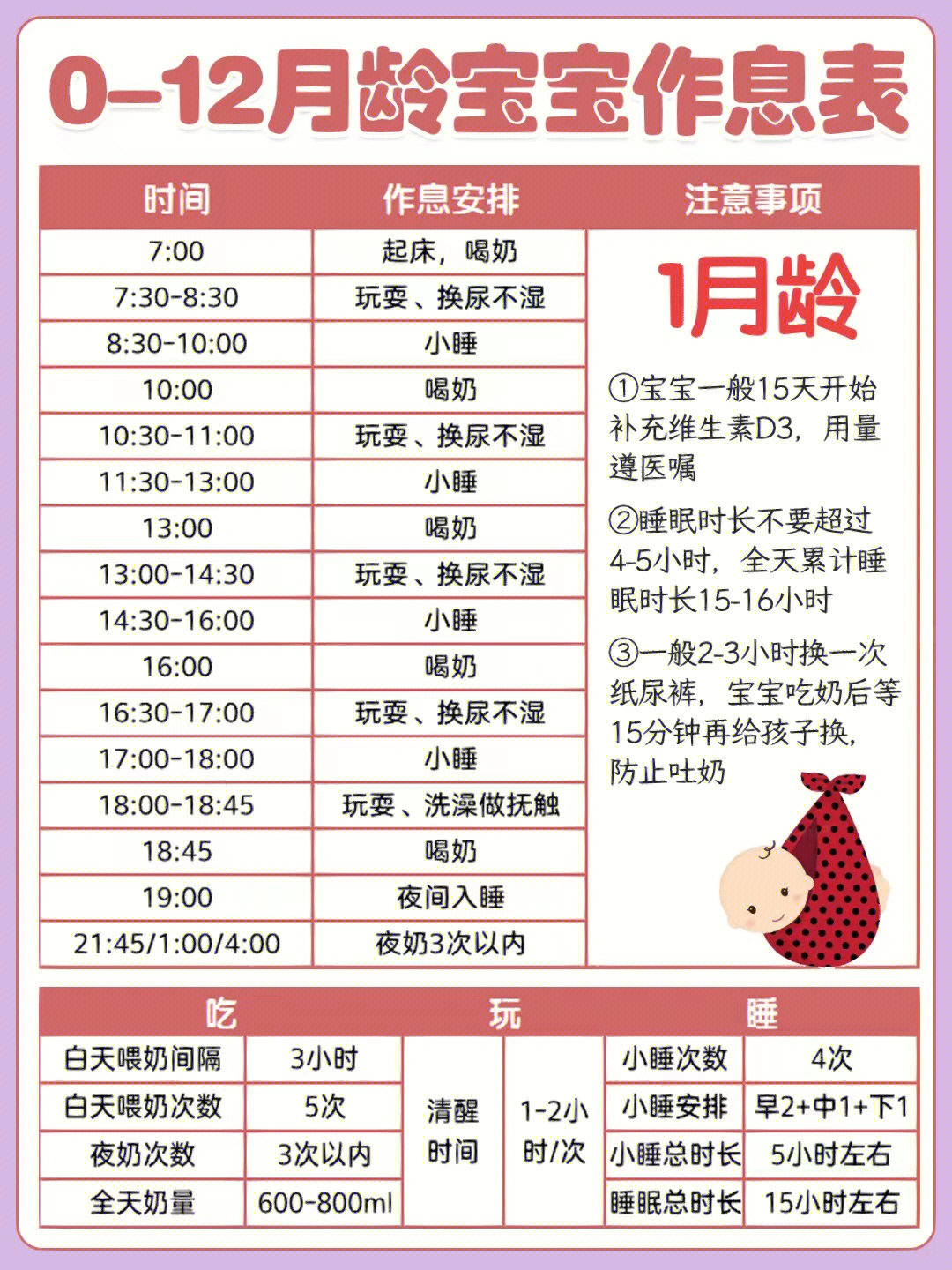 幼鸽换羽时间和规律图图片