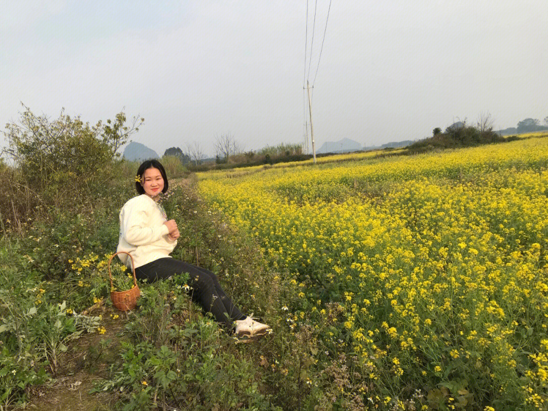 扶绥三哨村油菜花