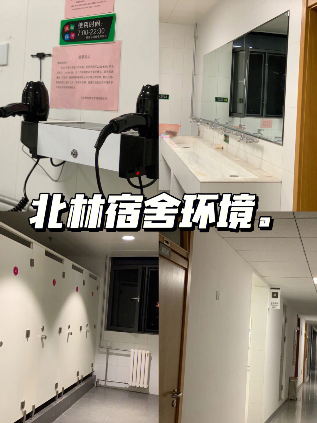 北京林业大学研究生宿舍大公开