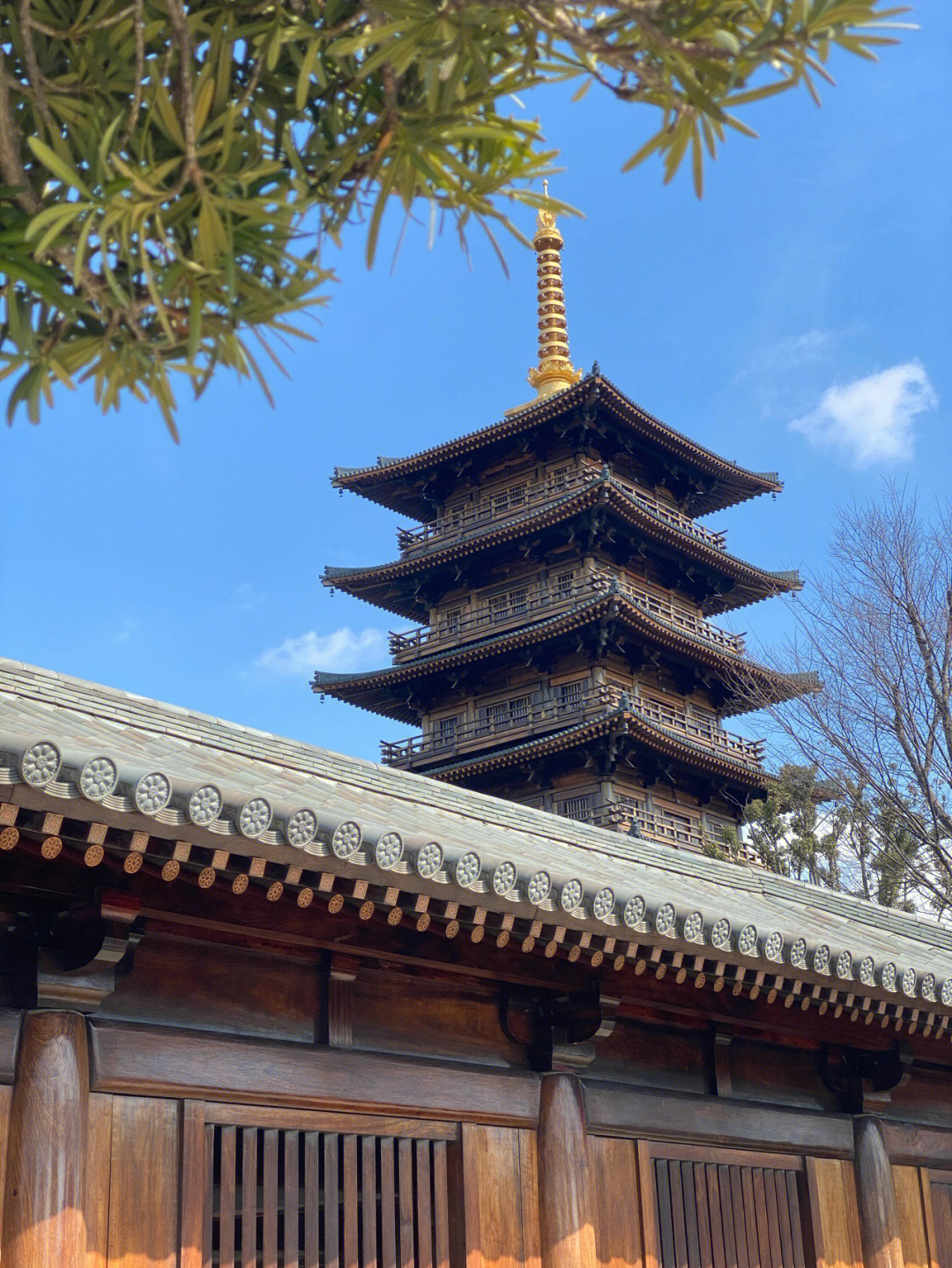 梦回京都#拍照圣地#宝山净寺#近郊游#国风大赏