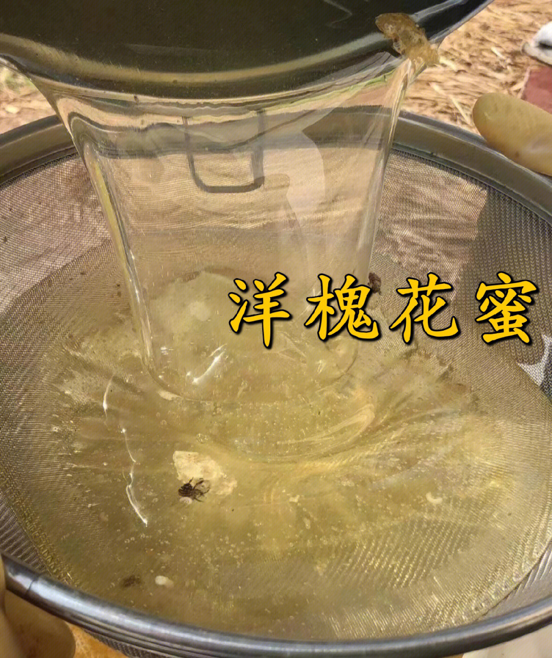 洋槐蜜真假图片味道图片