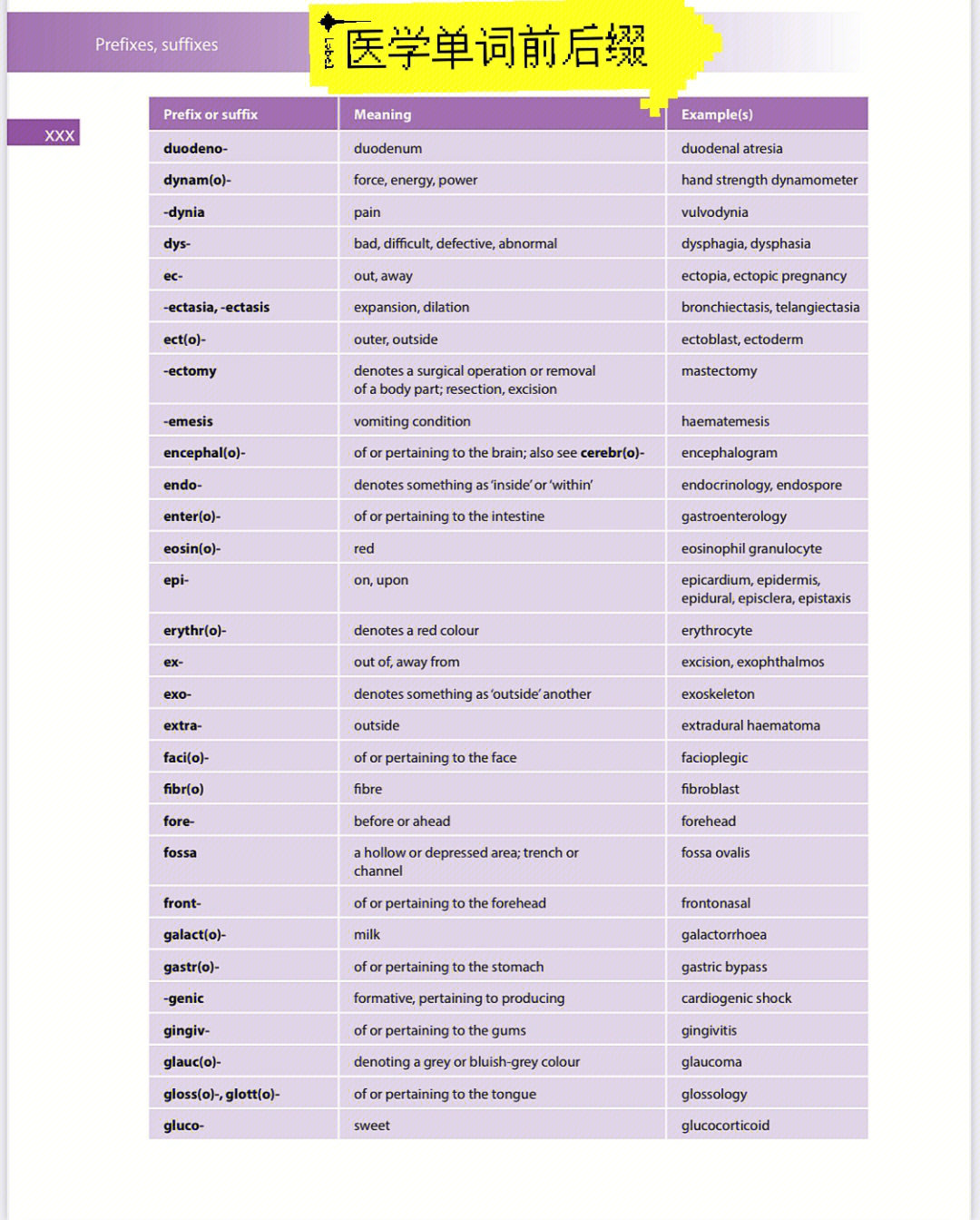 医学单词前后缀73