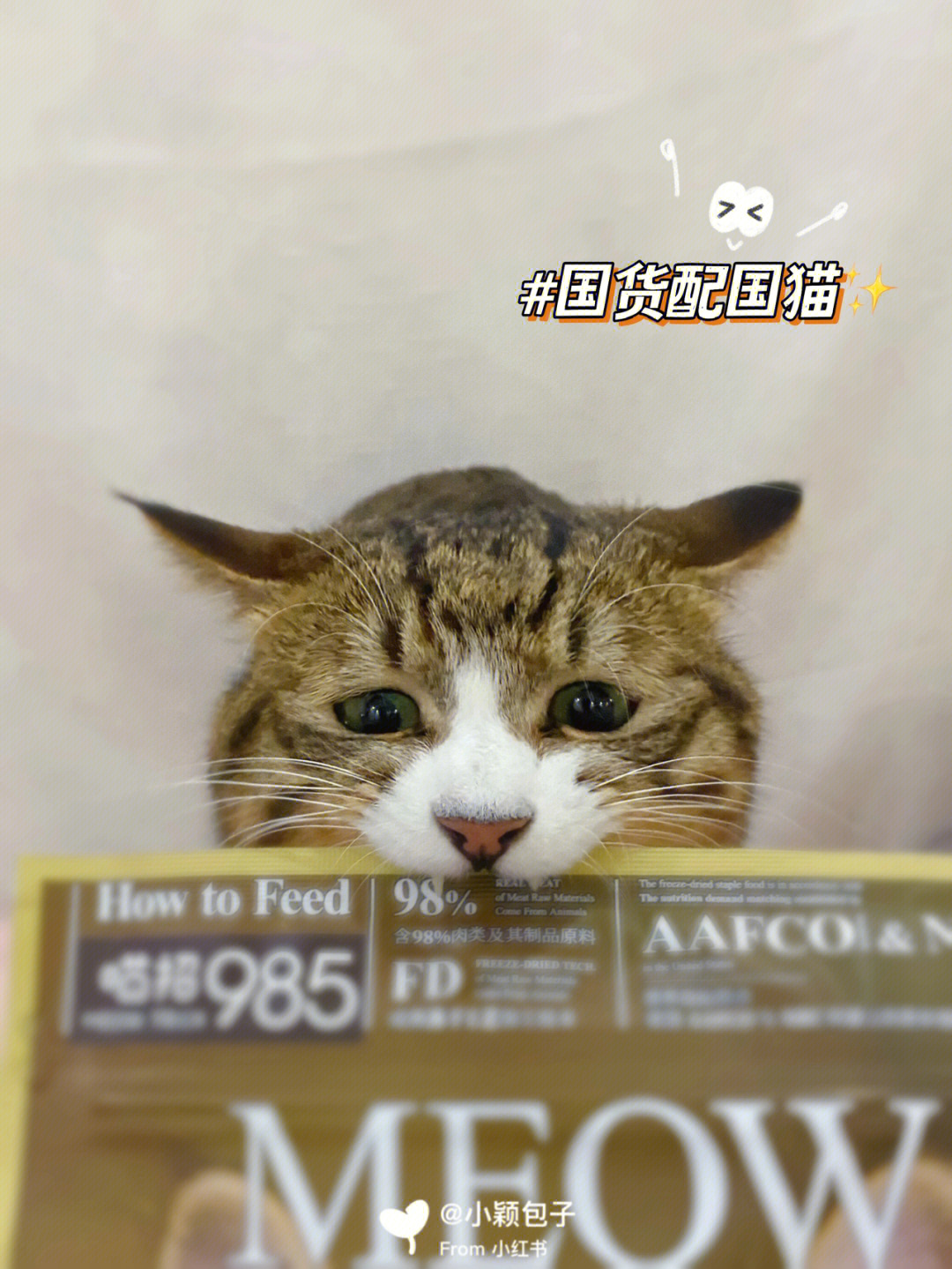重庆猫小颖图片