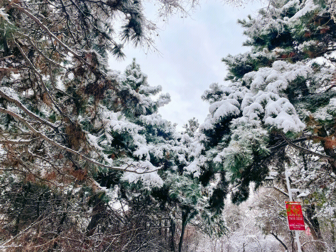 雪后的龙首山