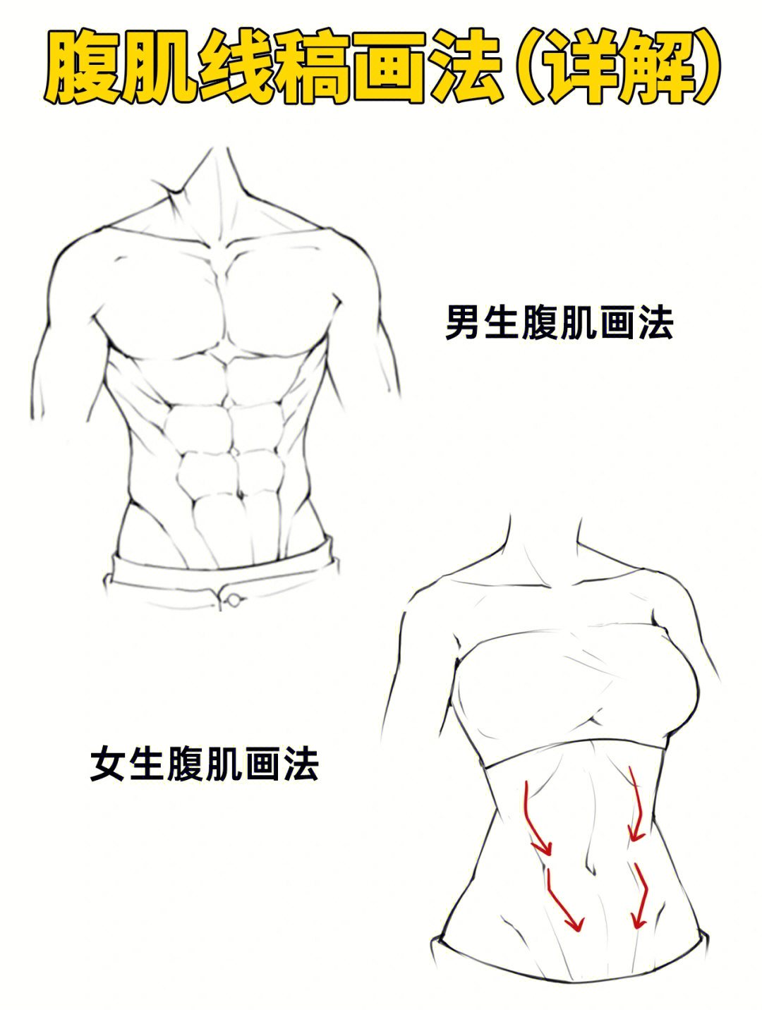 腹肌怎么画简单图片