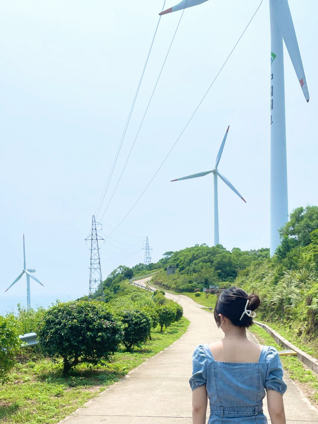 阳江风车岭图片