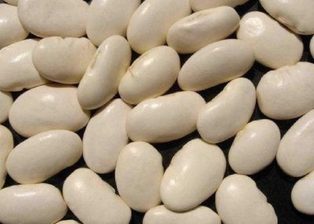 白芸豆真的能减肥吗图片