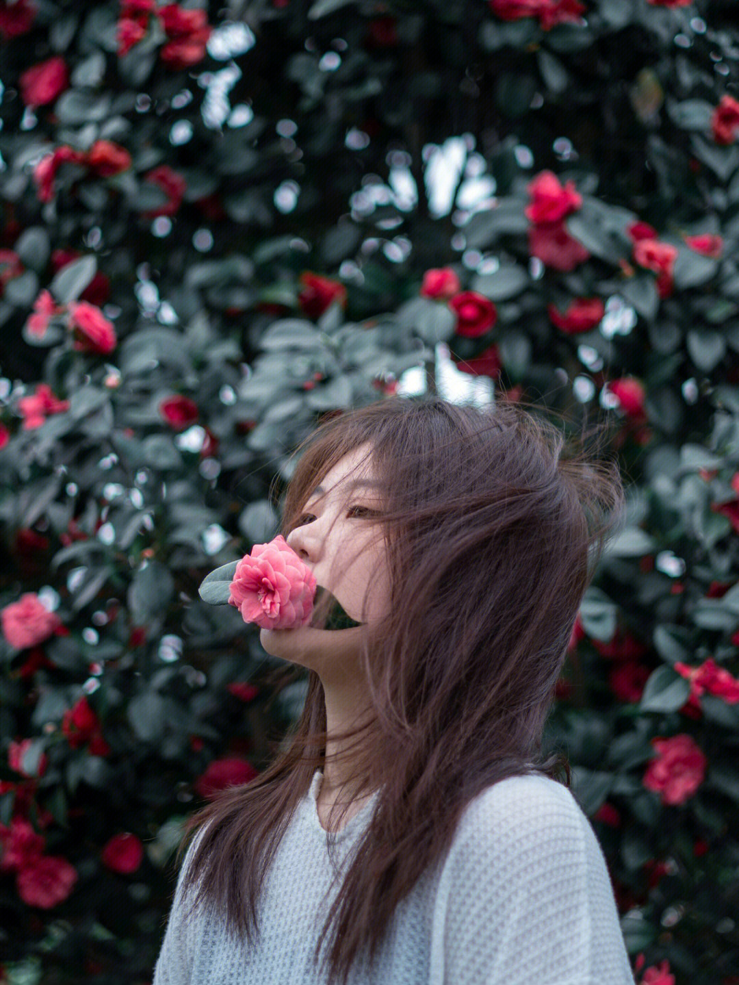 茶花女真人容貌图片