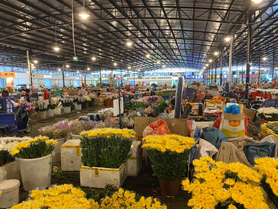 广州芳村岭南花卉市场图片