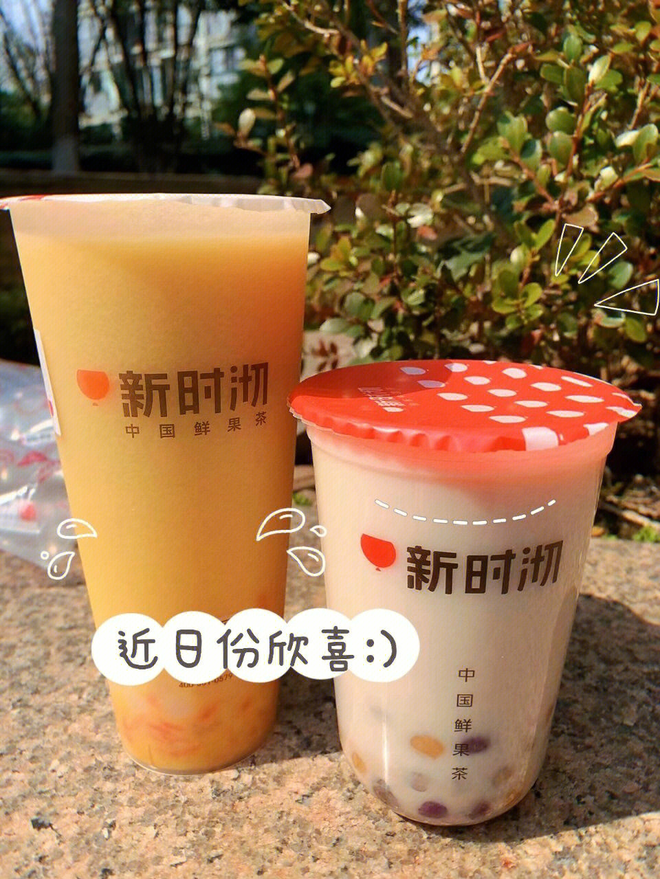 新时沏奶茶菜单图片