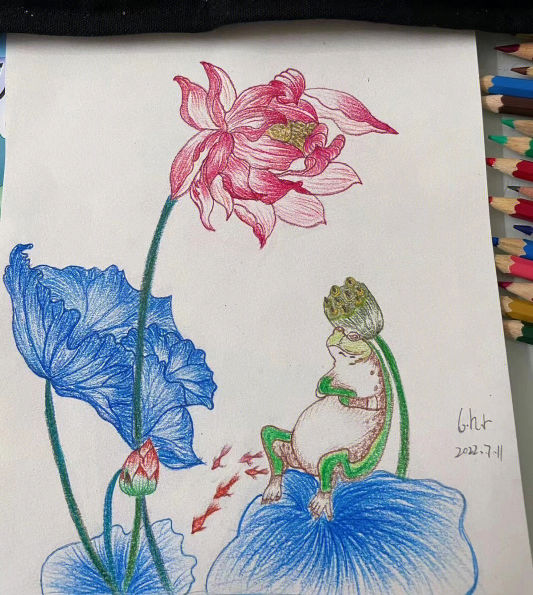 荷花03临摹彩铅画