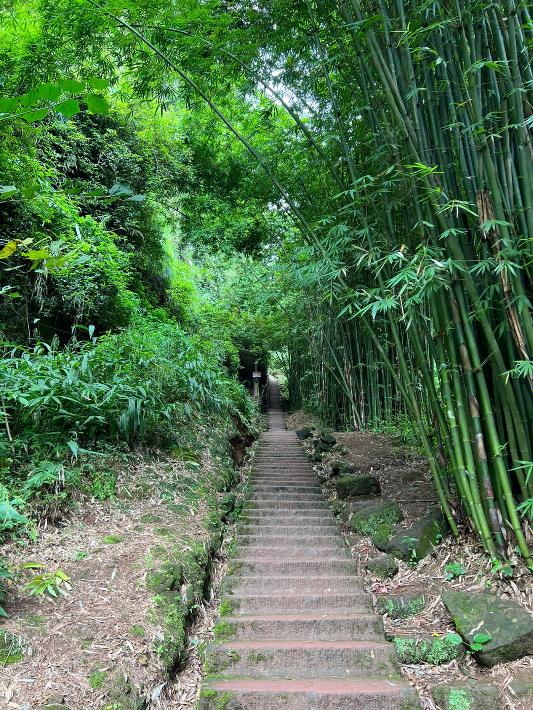 成都周边爬山图片