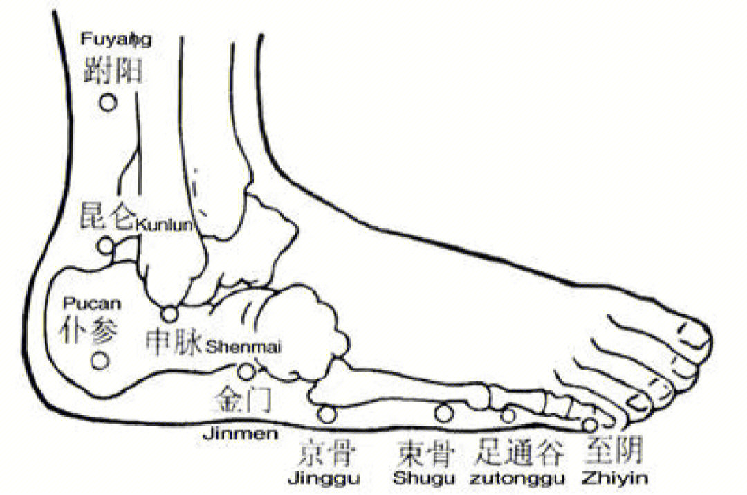 大渔中医每日一穴金门穴