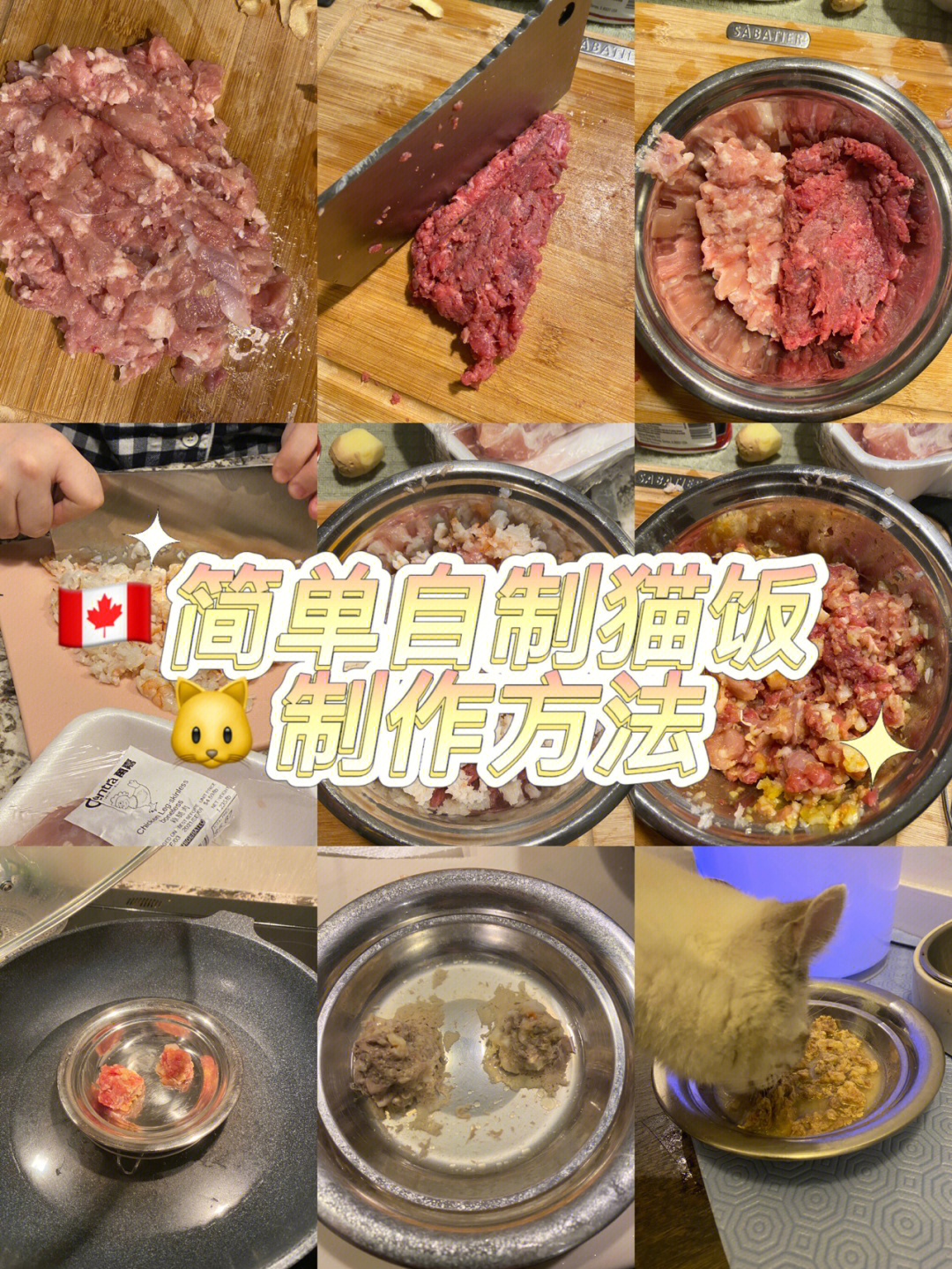 简单自制猫饭有手猫就行暴风吸入