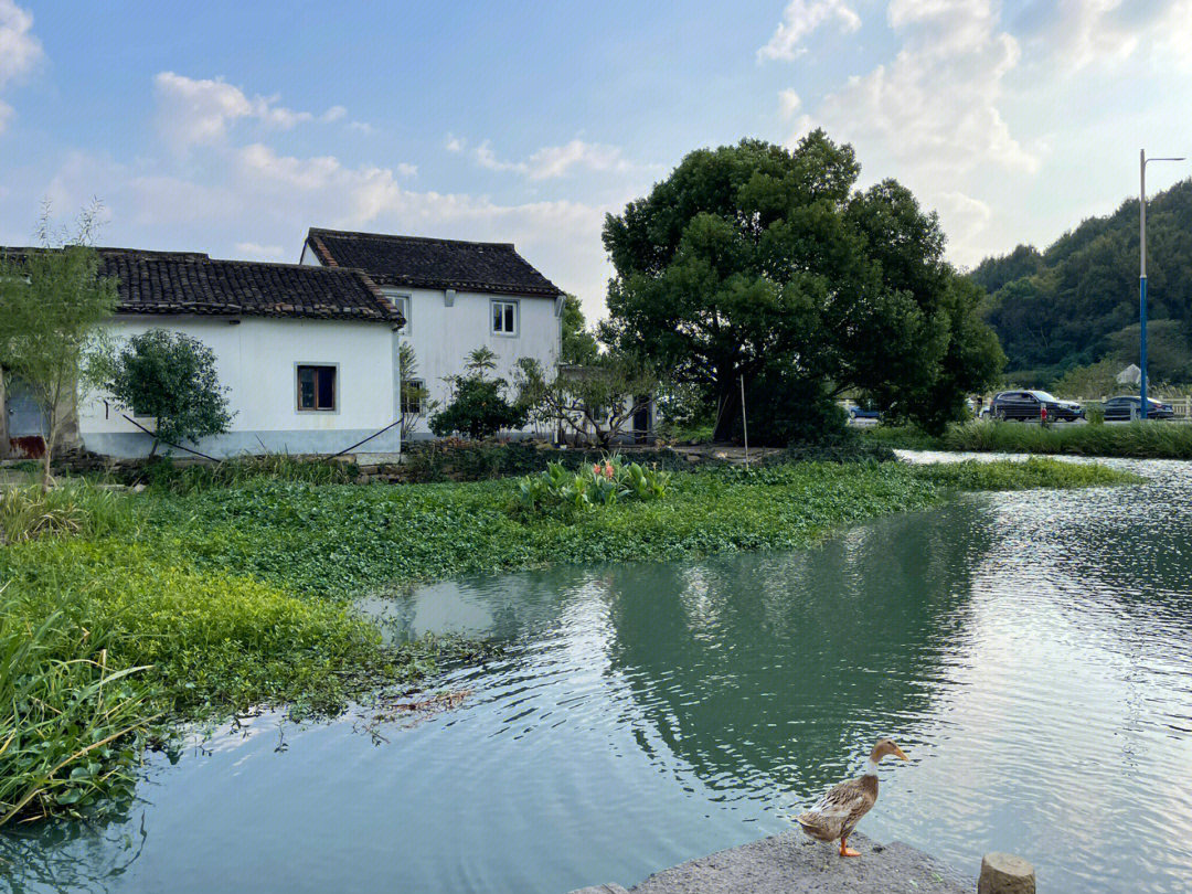 东钱湖建设村古村图片