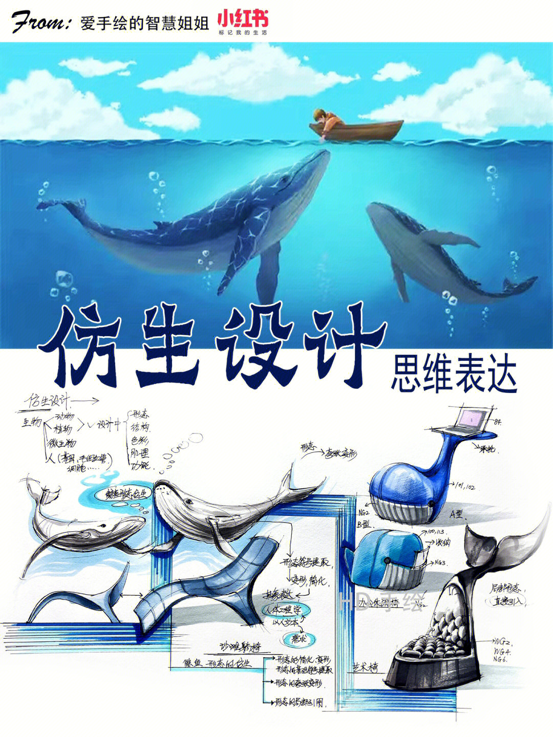 鲸鱼仿生设计手绘图片