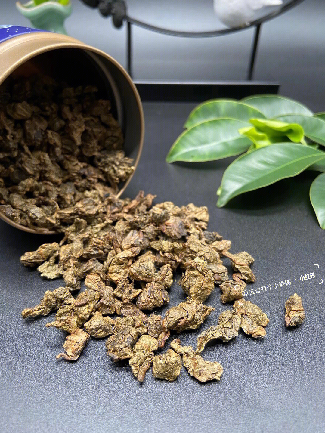 鳄嘴花沉香叶茶图片