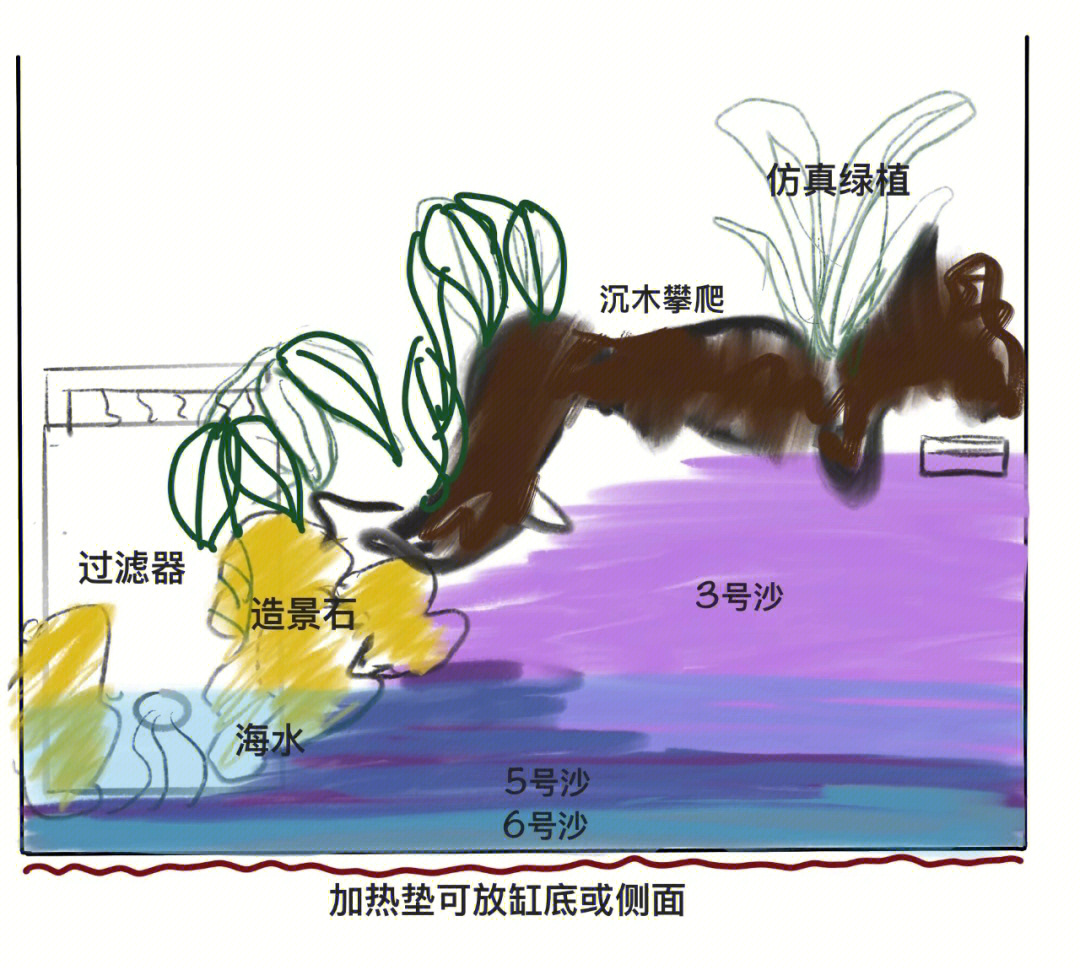 龟缸造景水陆分离教程图片