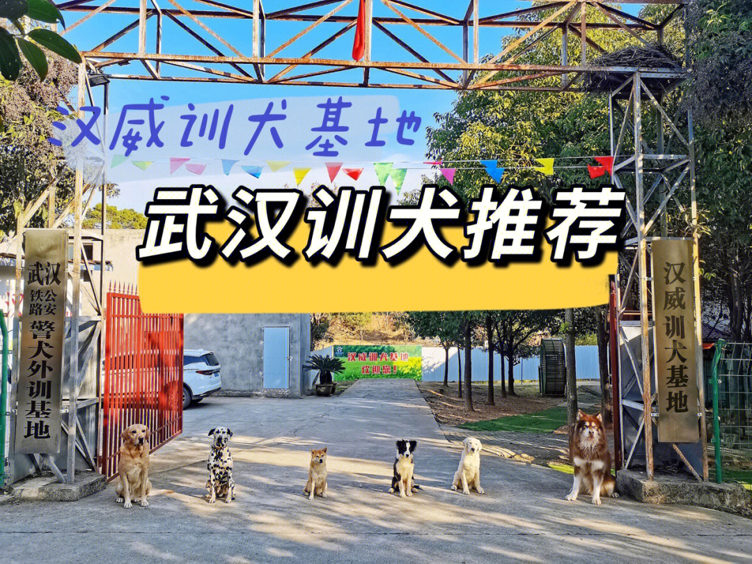 武汉宠物小学汉威训犬基地良心推荐