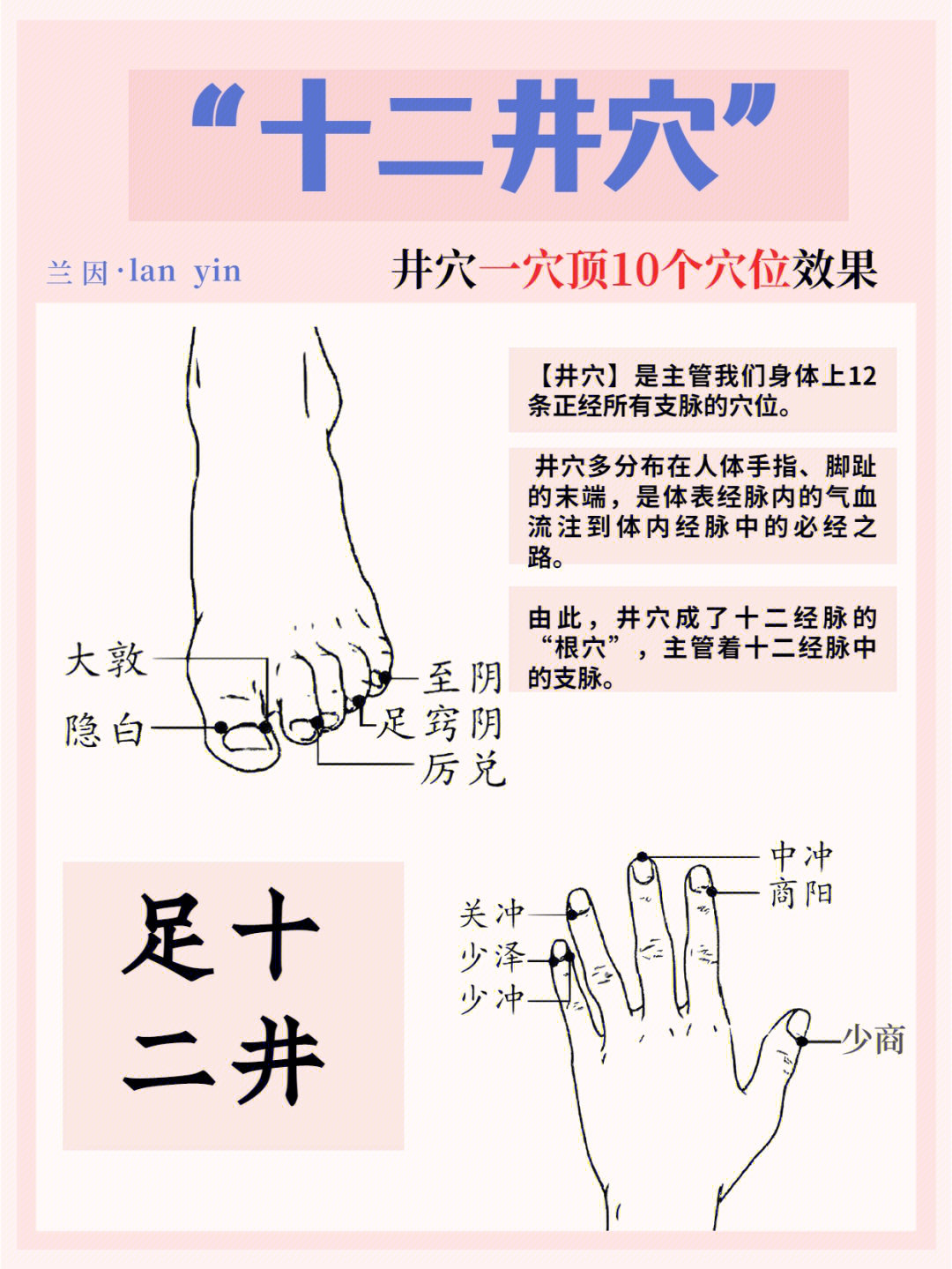 十二俞的准确位置图片图片