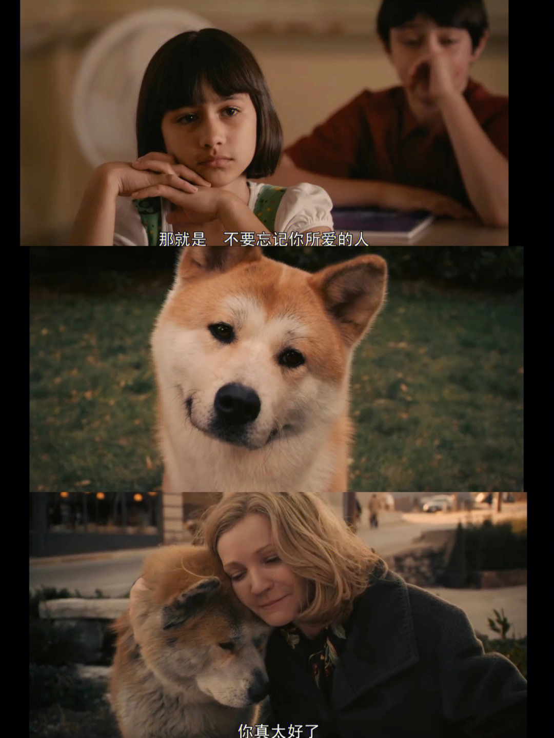 八公犬 日本电影图片