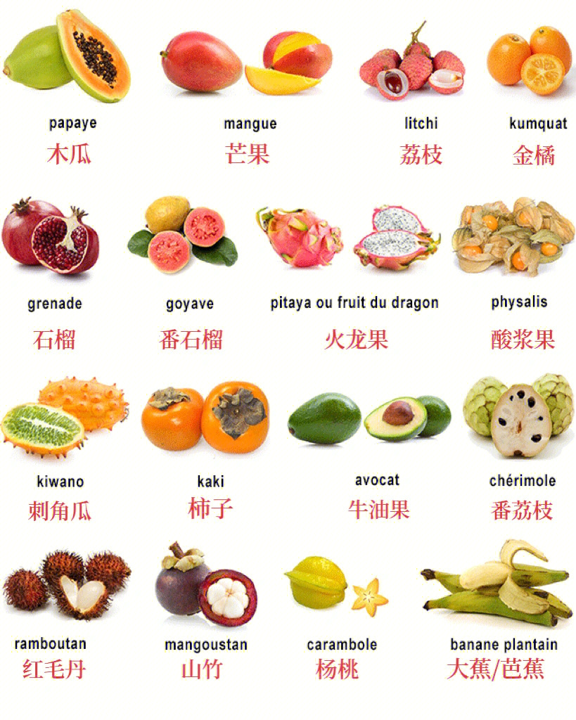 法国超市法语常见水果名称实用法语1