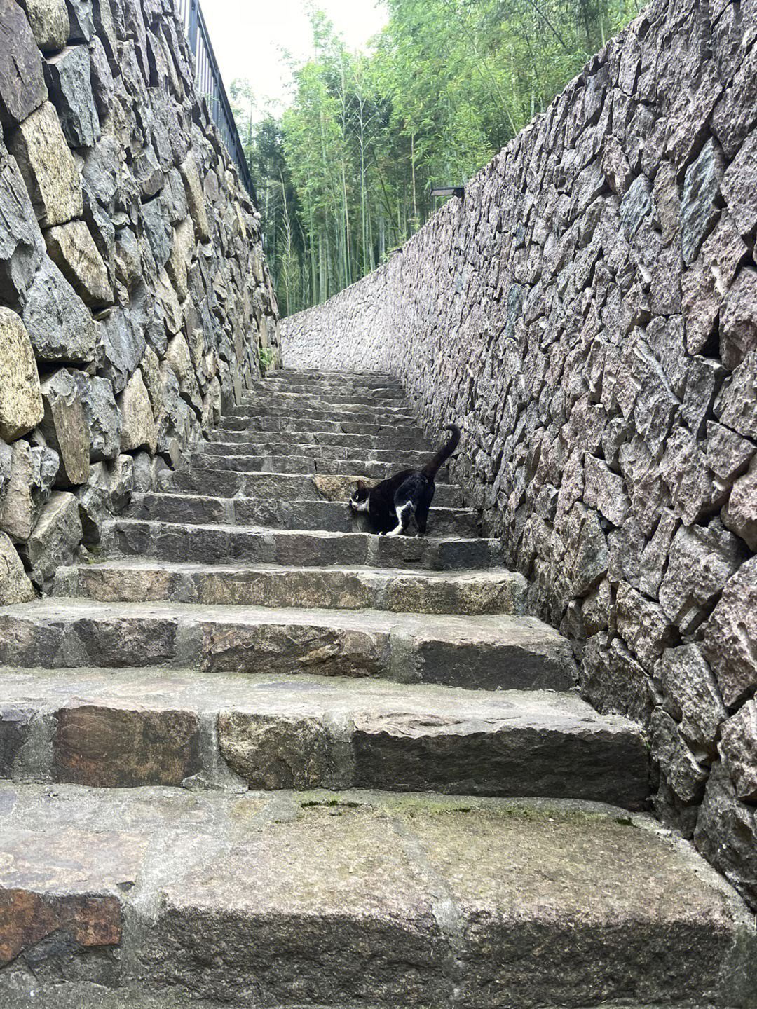 莫干山大坑景区图片