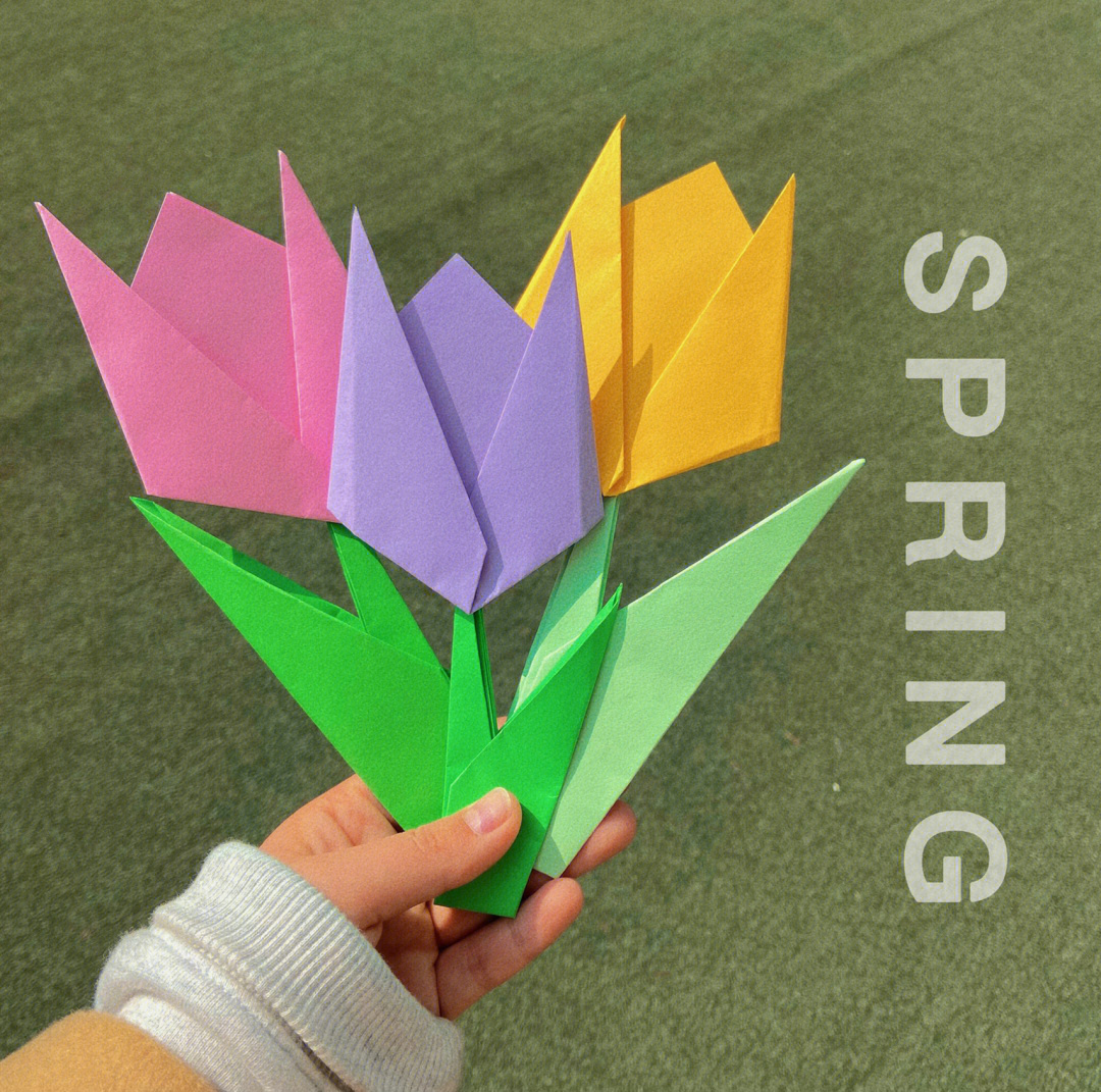 郁金香折纸简单的花图片
