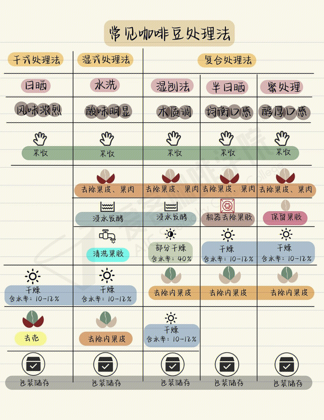 决明子和咖啡豆区别图图片