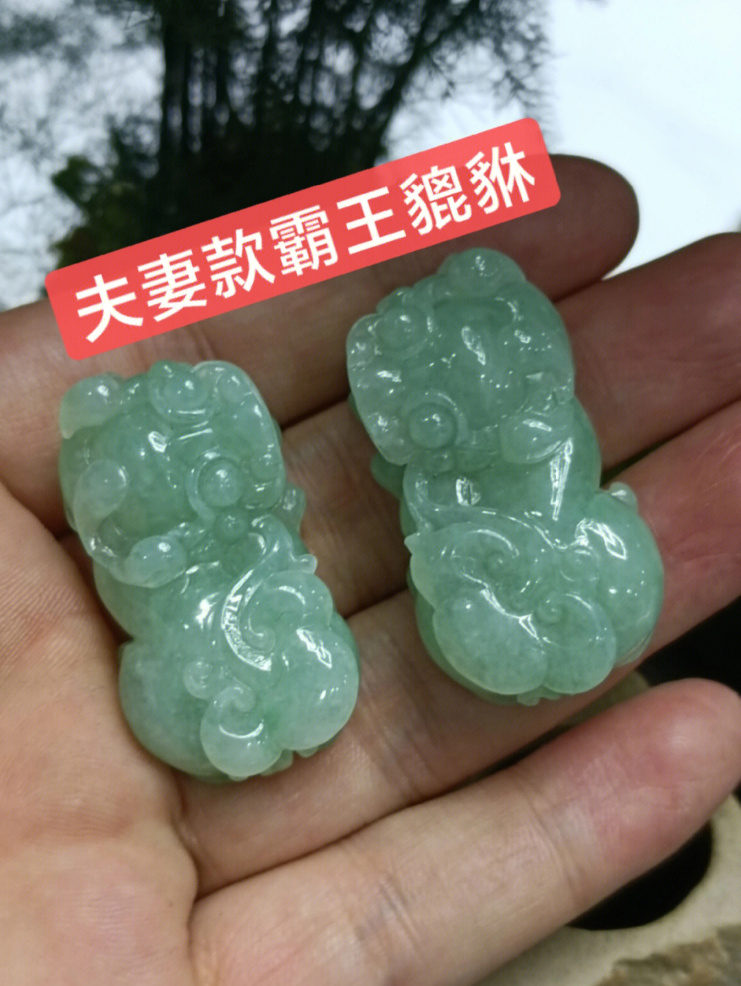 翡翠和玉的区别貔貅图片