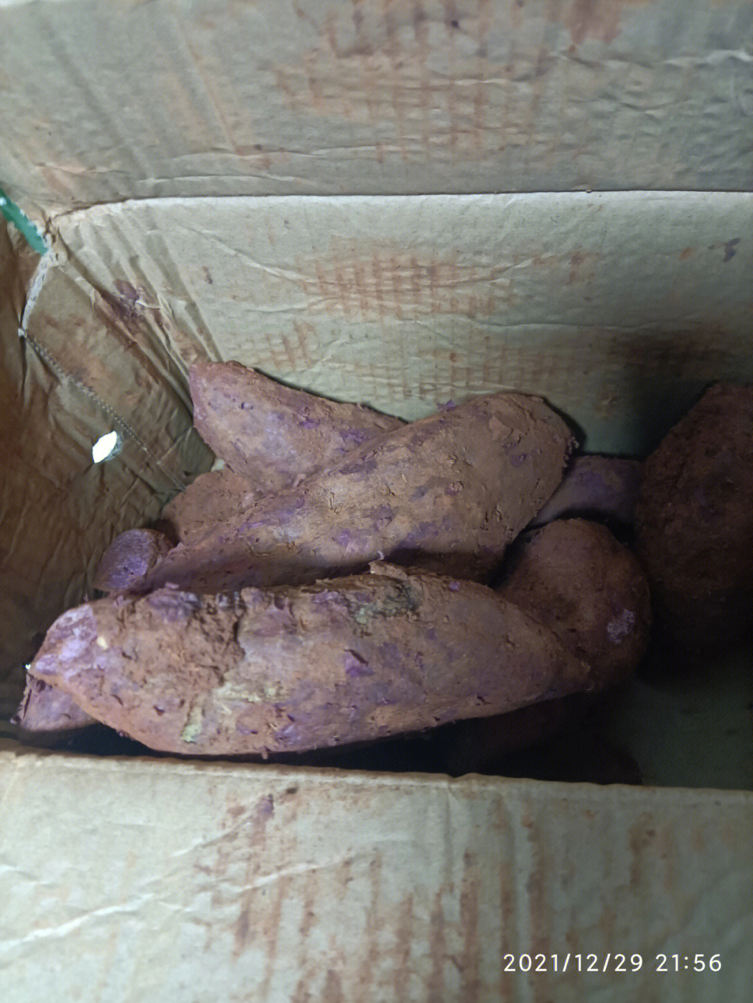 紫薯发霉图片
