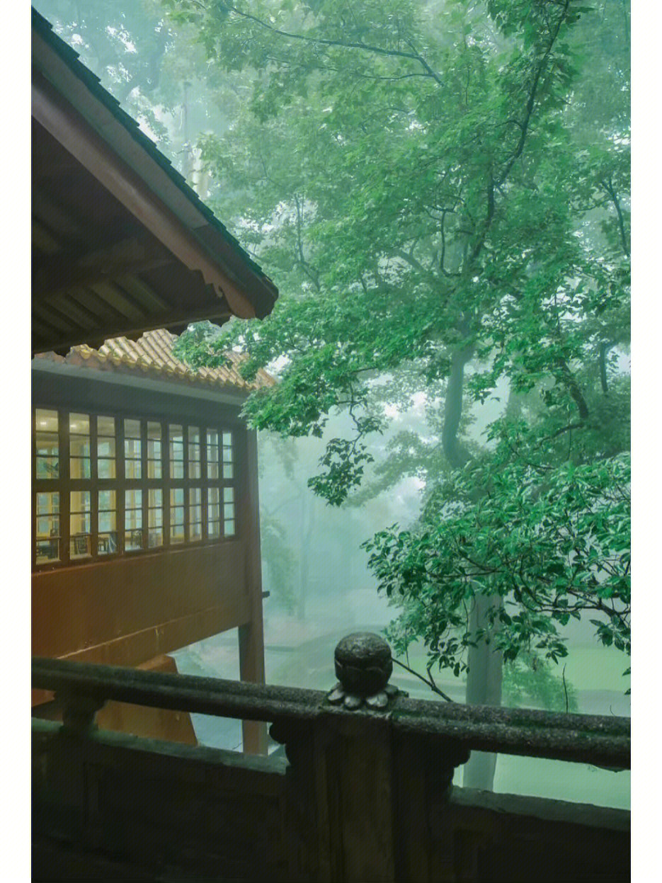 空山新雨后 意境图片