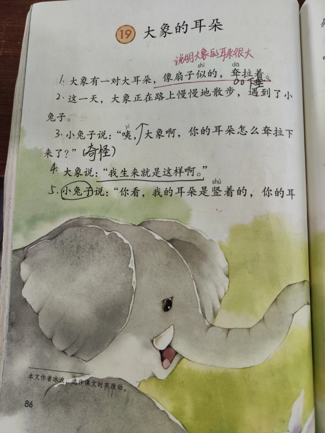 大象的耳朵课文 原文图片