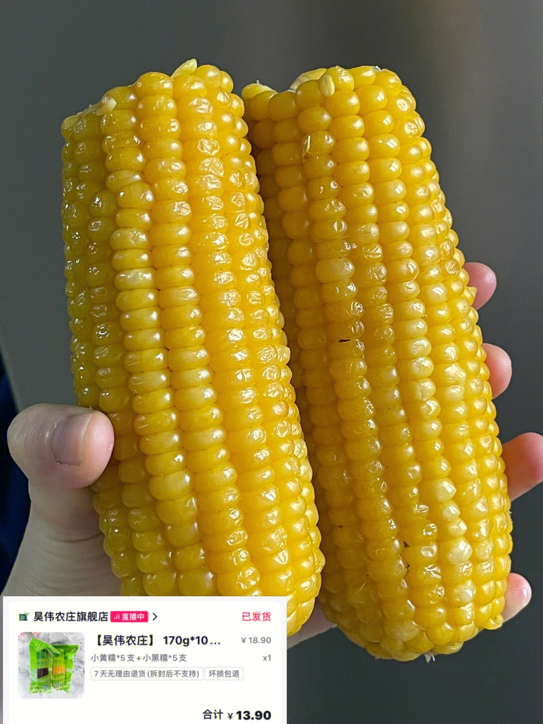 dy357玉米品种图片