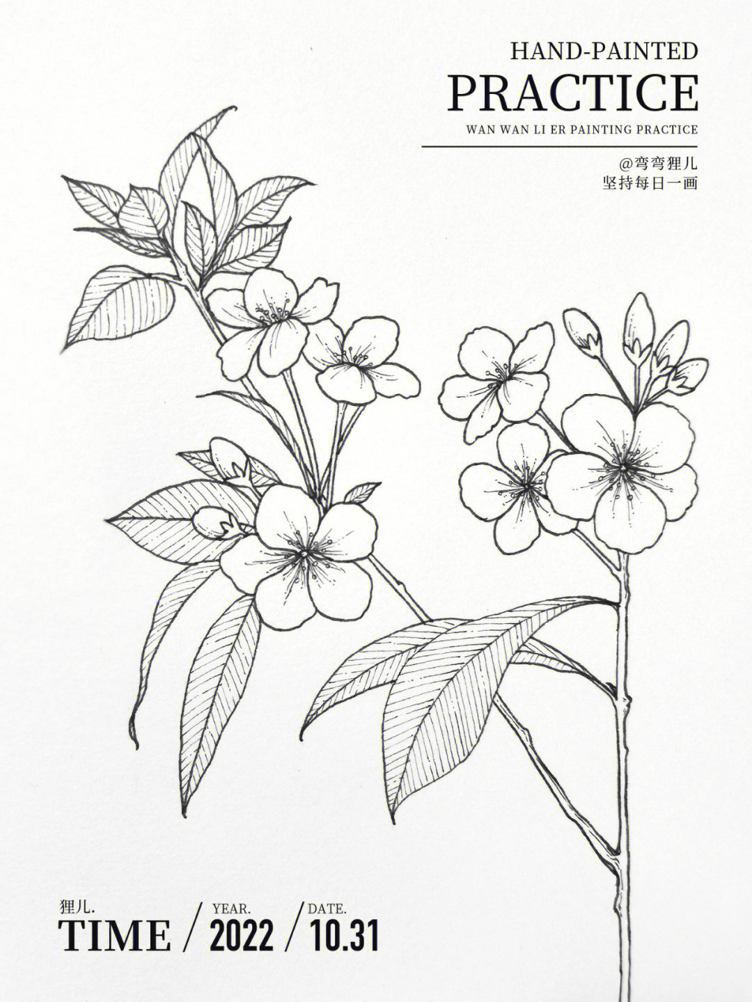 海棠花树简笔画图片