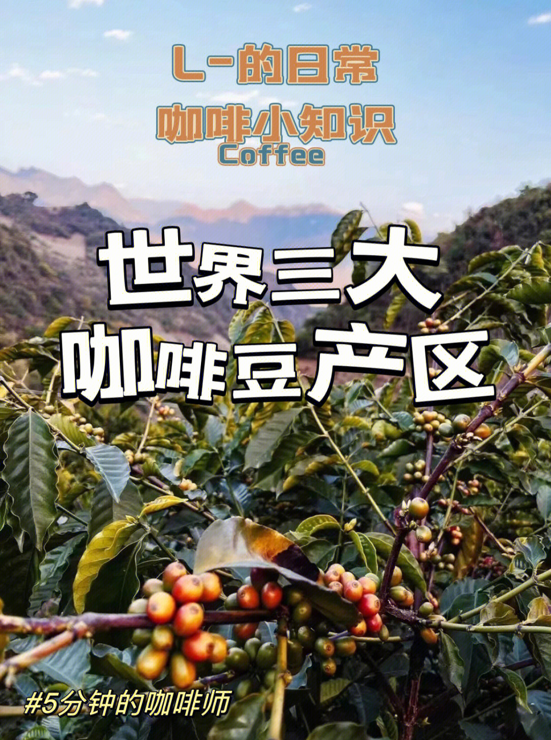 咖啡豆三大产区及风味图片