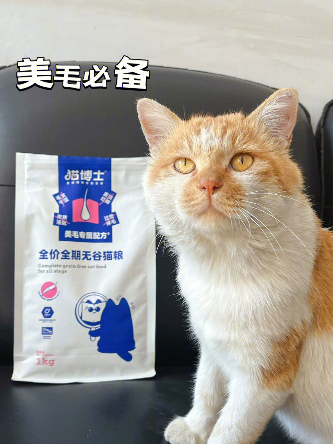 博士猫根癌灵图片