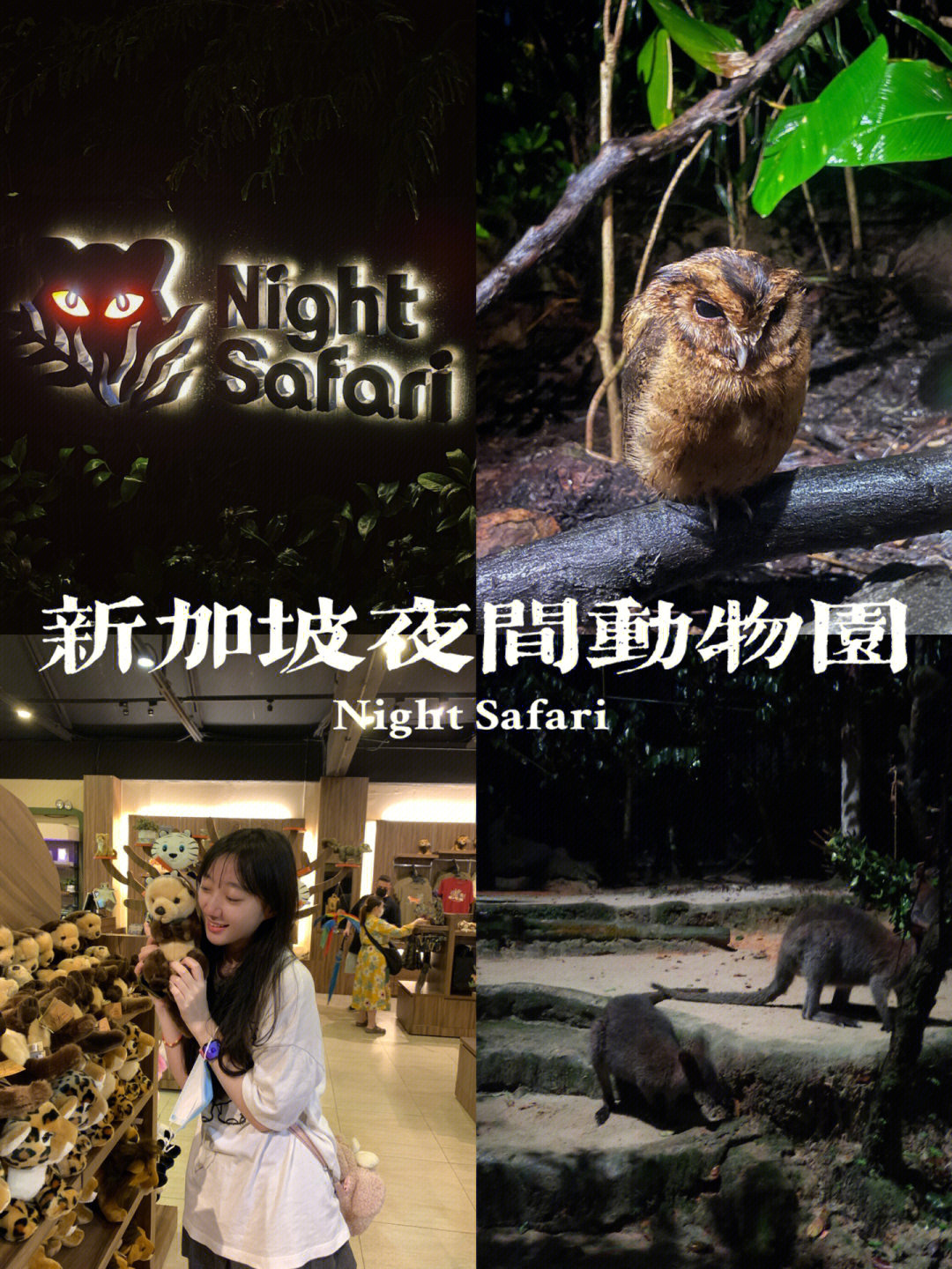 上海大自然野生昆虫馆电话_上海野生动物园电话_上海野生动物园 动物